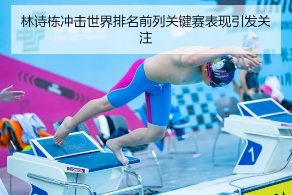 林诗栋冲击世界排名前列关键赛表现引发关注